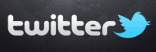 Seguici su Twitter
